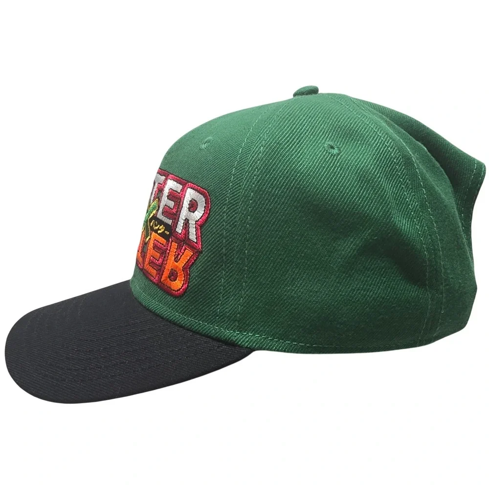 Hunter x Hunter Snapback Hat Green Black Gon Killua Under Brim Graphic Anime Cap